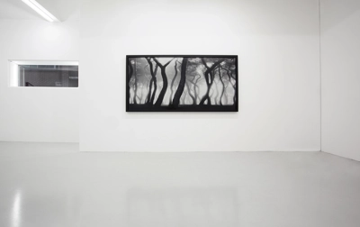 installation_view_image_Gyeongju, Sacred Forest_0