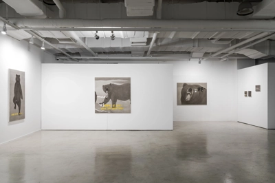 installation_view_image_How You face the Strange World_1