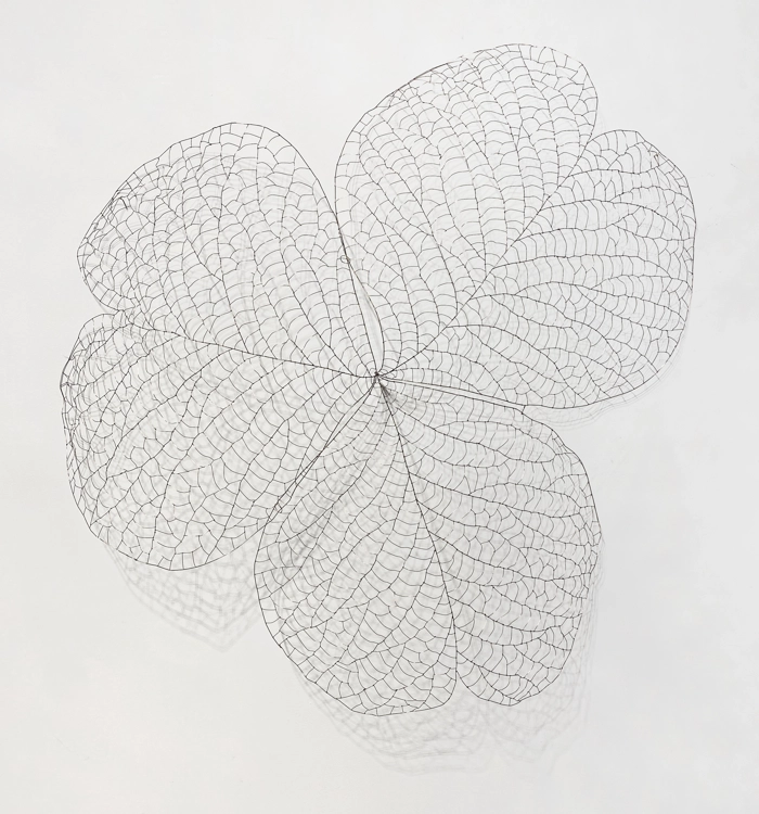 The Flower 21100_Jung Kwang Ho
