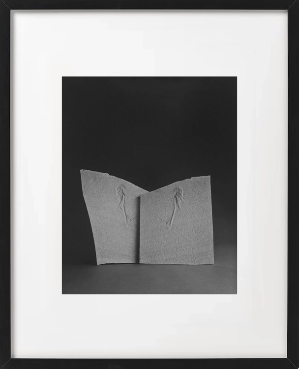 PPTRD 040, limited edition including original artwork_Hiroshi Sugimoto