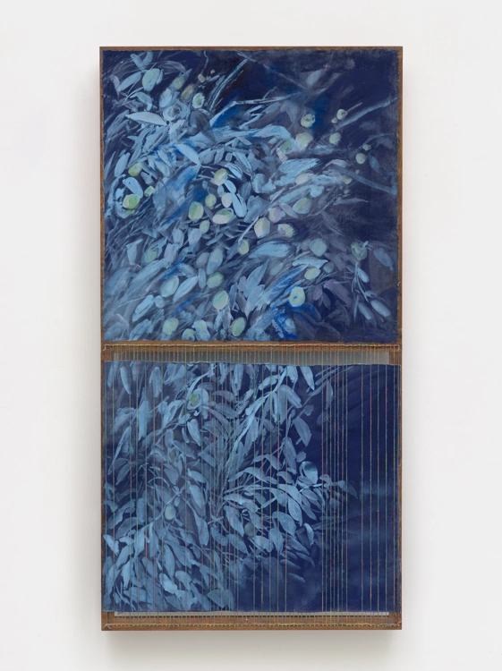 home - jujube tree_Kijeong Kim