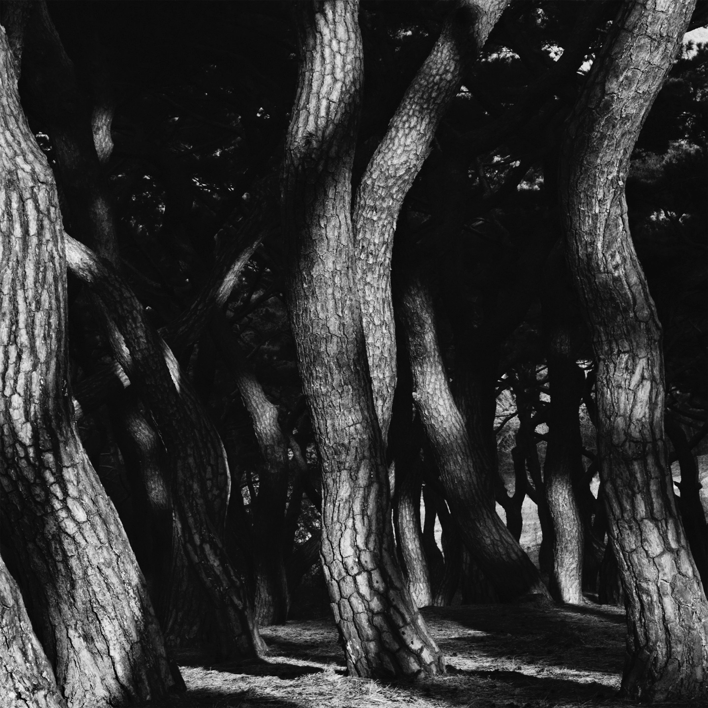artwork_slide_front_artwork_image_01HVFVYJEKSBAYY6BW8QFJK0HN