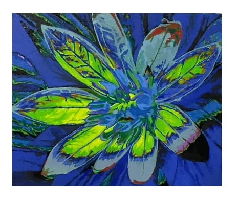 artwork_slide_front_artwork_image_01JED428HHDB8P8QBBTQXCFZNW