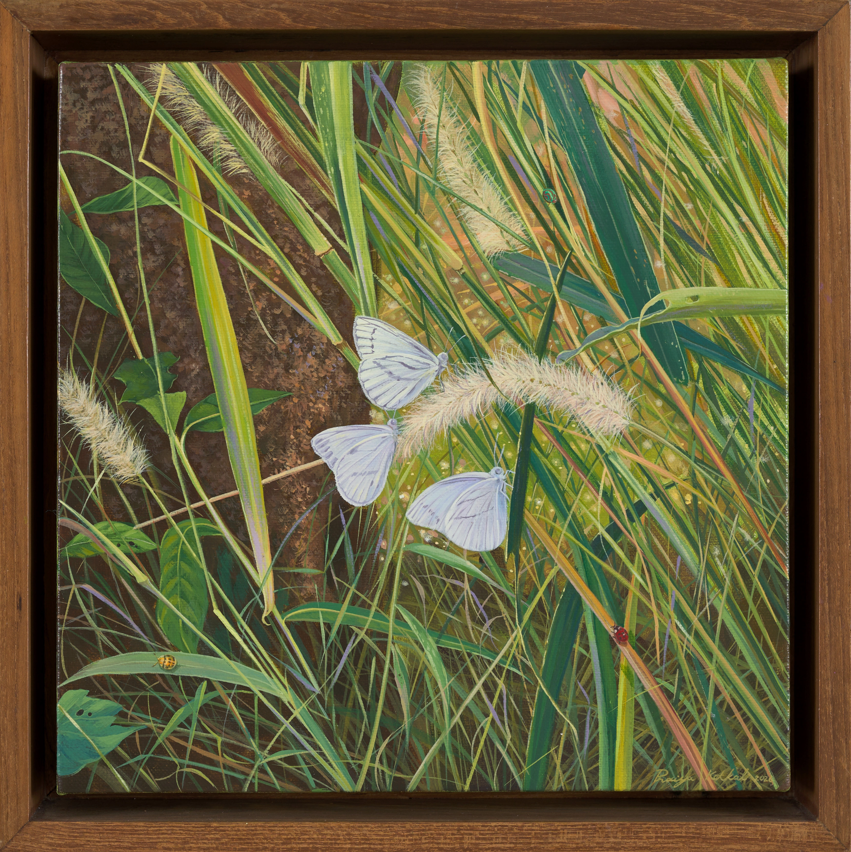 artwork_slide_front_artwork_image_01KR07X28KGA9ZHFH5D5N5XA53
