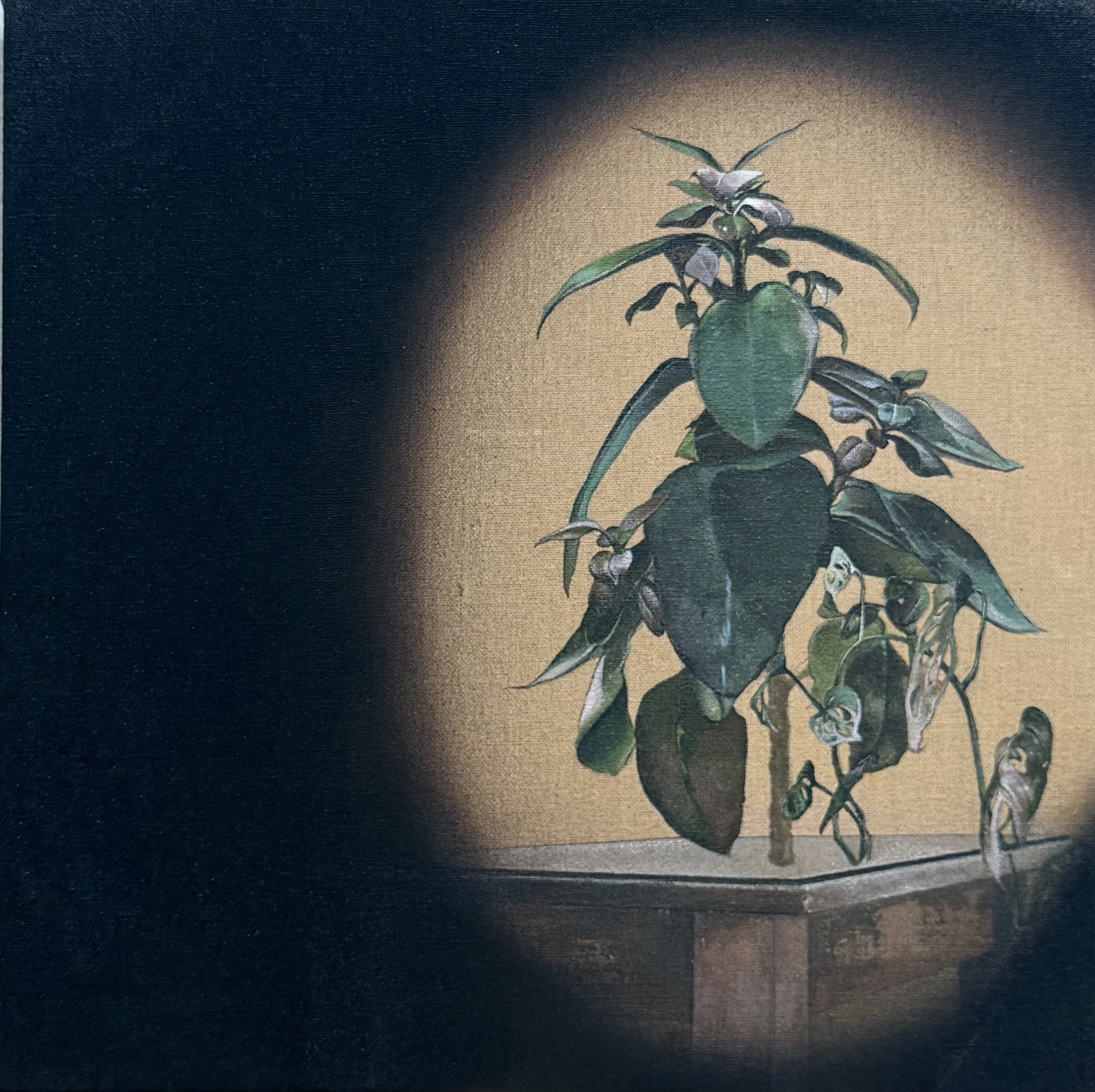 artwork_slide_front_artwork_image_01K7NMRHWXQSV9KV8NJRATQQ6R