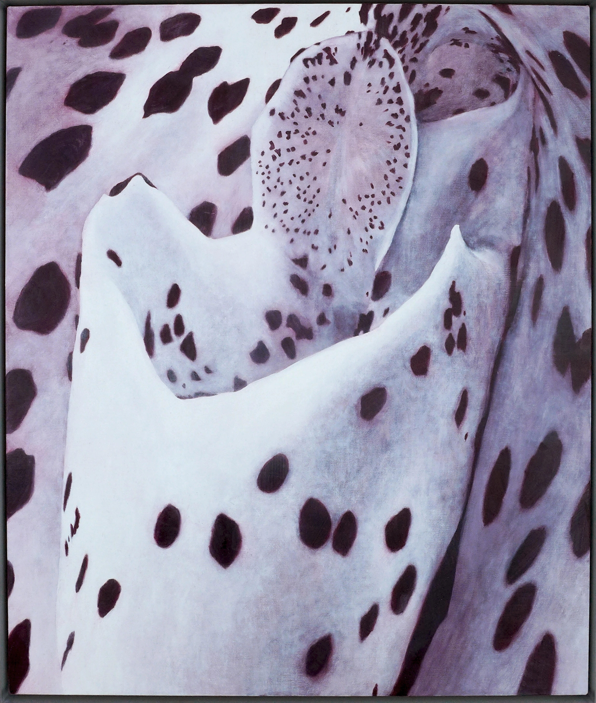 artwork_slide_front_artwork_image_01KGV05CQYJPA5ECBJZ3C7WEQF