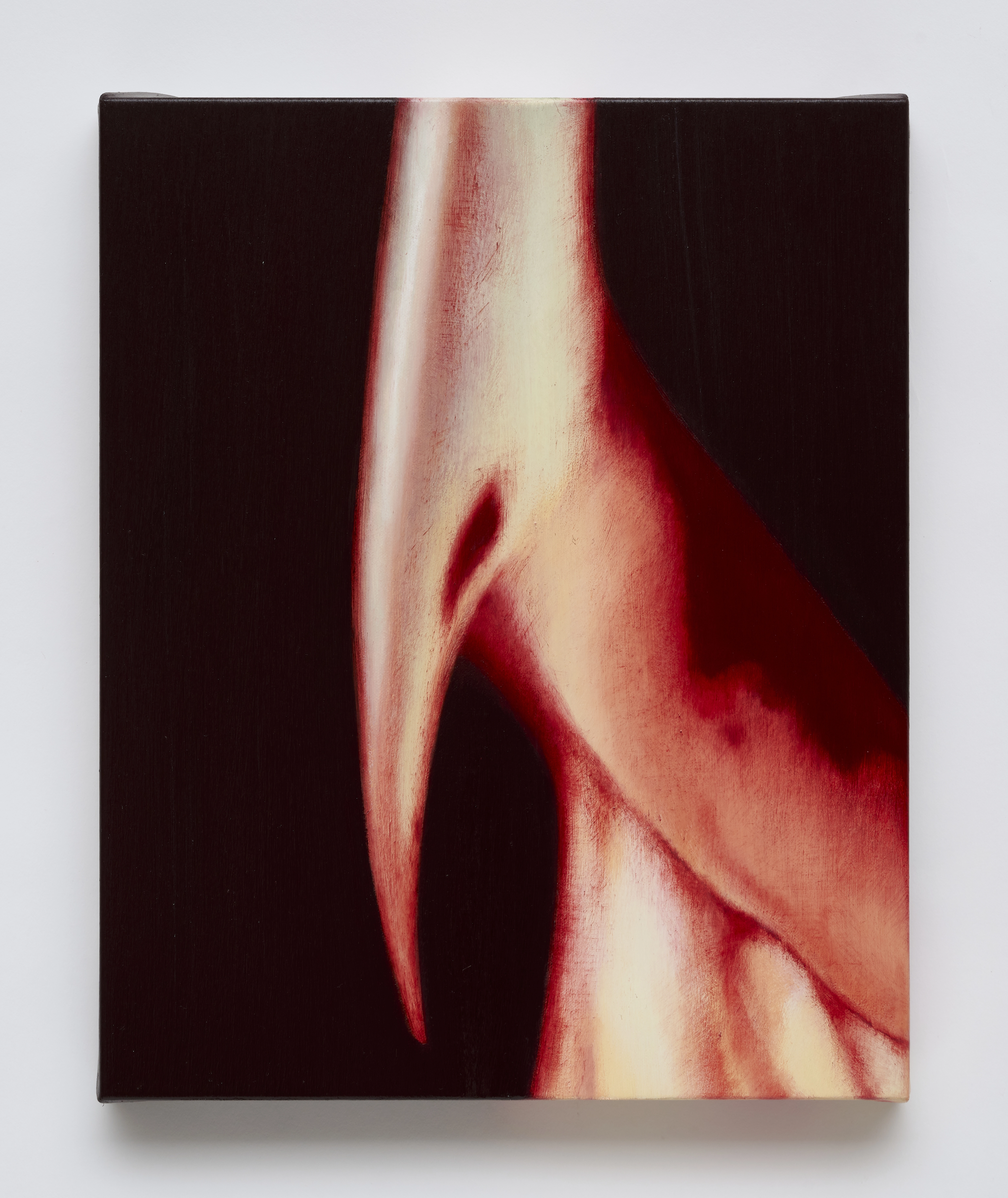 artwork_slide_front_artwork_image_01KP5BXBCH7GMFC0HZD58SB2XB