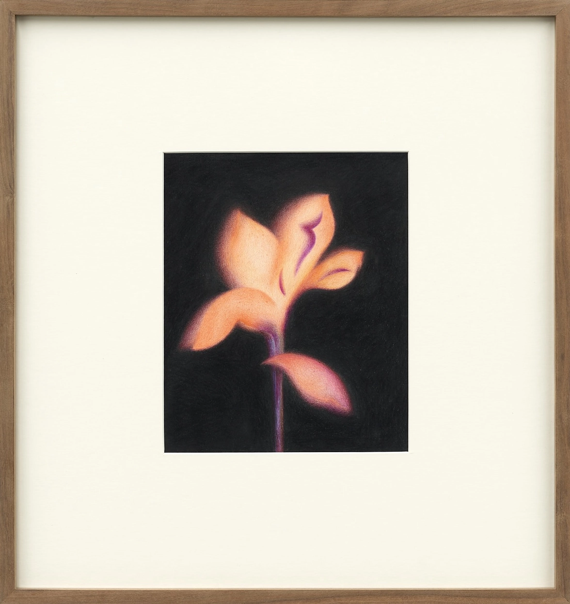 artwork_slide_front_artwork_image_01JRACH95X47K7KE67JSCD2E6A