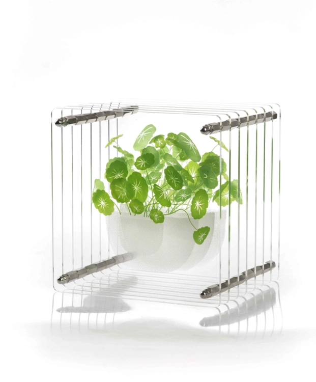 My Greeny – Water Coin_Kim Seoul